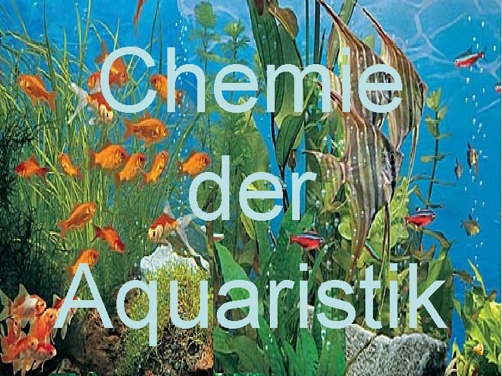 Chemie der Aquaristik 