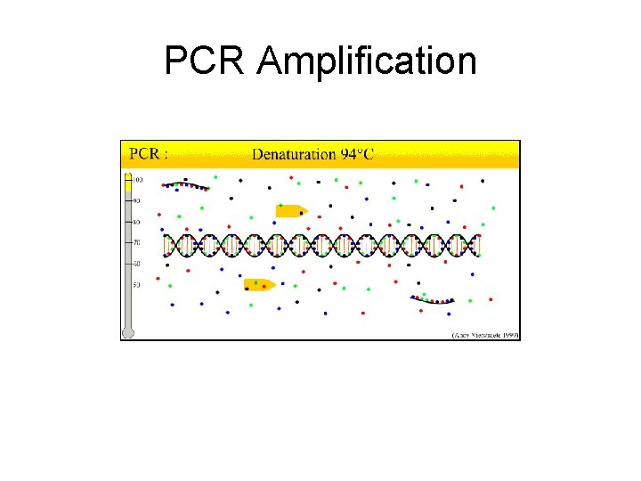 PCR Basics 1 2 3 4 Purpose of