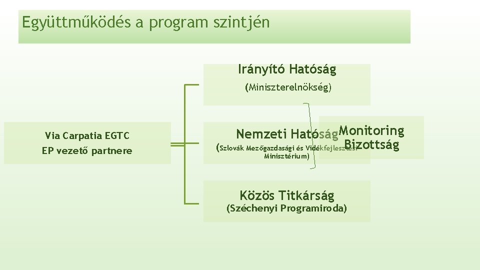 Együttműködés a program szintjén Irányító Hatóság (Miniszterelnökség) Via Carpatia EGTC EP vezető partnere Nemzeti