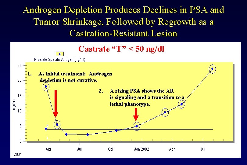 Androgen Depletion Produces Declines in PSA and Tumor Shrinkage, Followed by Regrowth as a