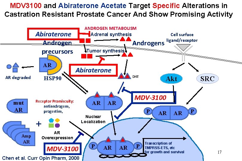 MDV 3100 and Abiraterone Acetate Target Specific Alterations in Castration Resistant Prostate Cancer And