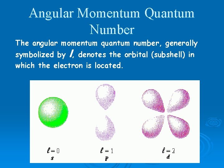Angular Momentum Quantum Number The angular momentum quantum number, generally symbolized by l, denotes