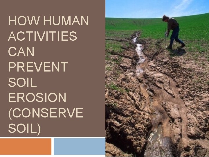 HOW HUMAN ACTIVITIES CAN PREVENT SOIL EROSION (CONSERVE SOIL) 