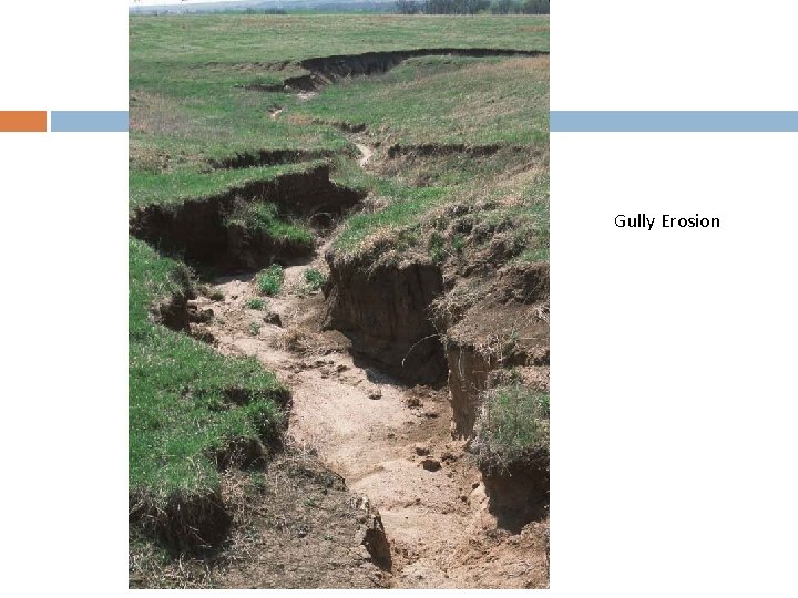 Gully Erosion 