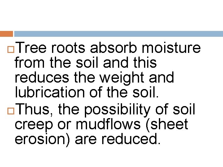 Tree roots absorb moisture from the soil and this reduces the weight and lubrication