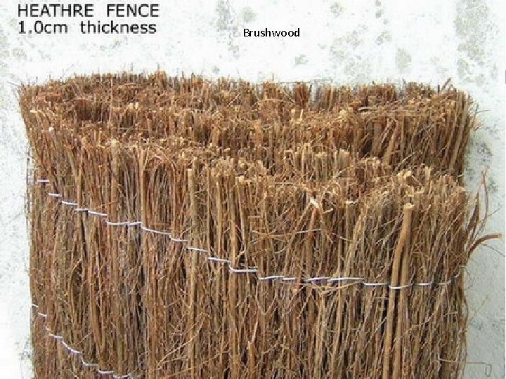 Brushwood 