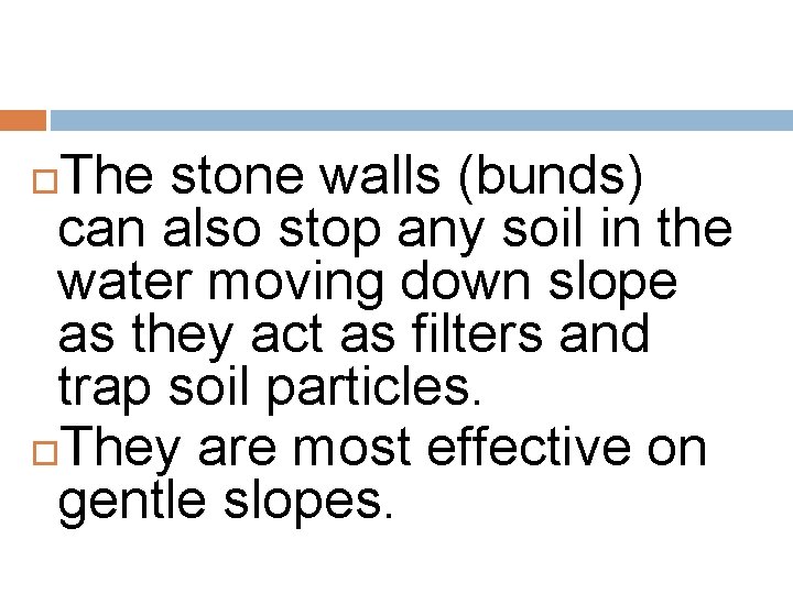 The stone walls (bunds) can also stop any soil in the water moving down