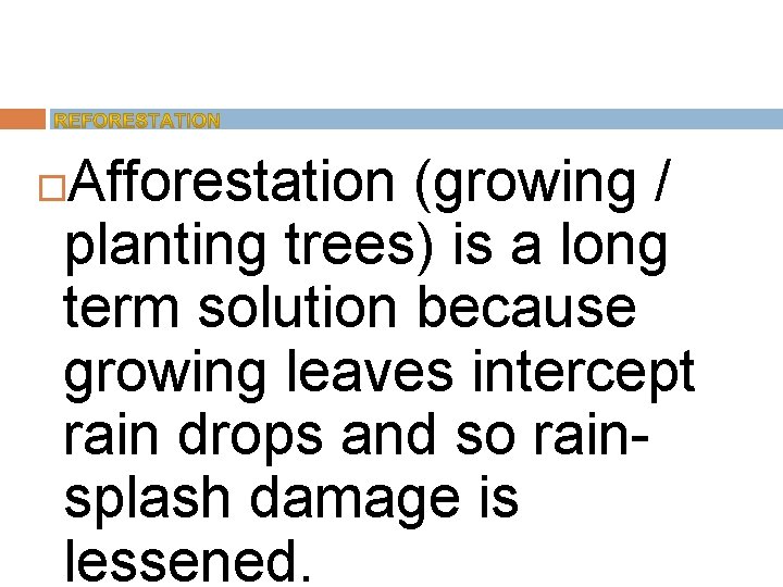Afforestation (growing / planting trees) is a long term solution because growing leaves intercept