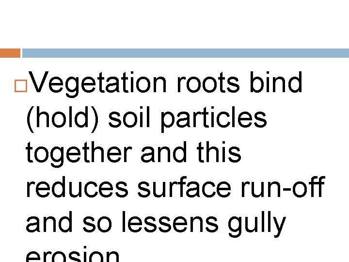 Vegetation roots bind (hold) soil particles together and this reduces surface run-off and so