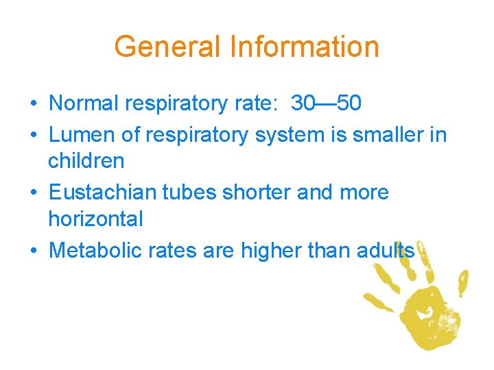 General Information • Normal respiratory rate: 30— 50 • Lumen of respiratory system is