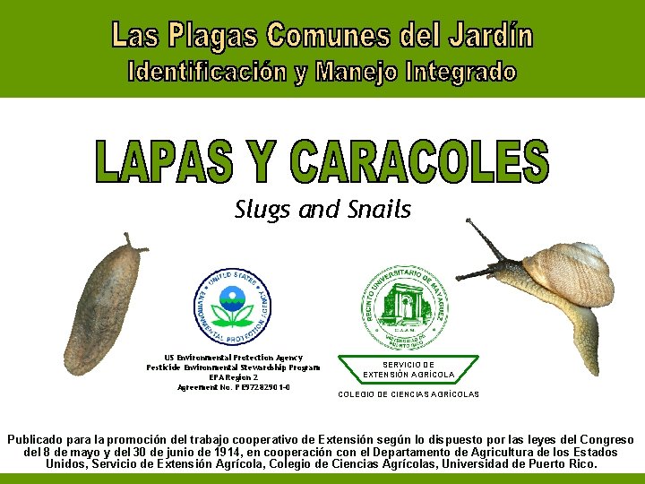Slugs and Snails US Environmental Protection Agency Pesticide Environmental Stewardship Program EPA Region 2