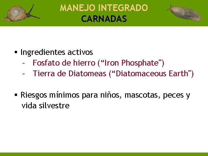 MANEJO INTEGRADO CARNADAS § Ingredientes activos – Fosfato de hierro (“Iron Phosphate") – Tierra