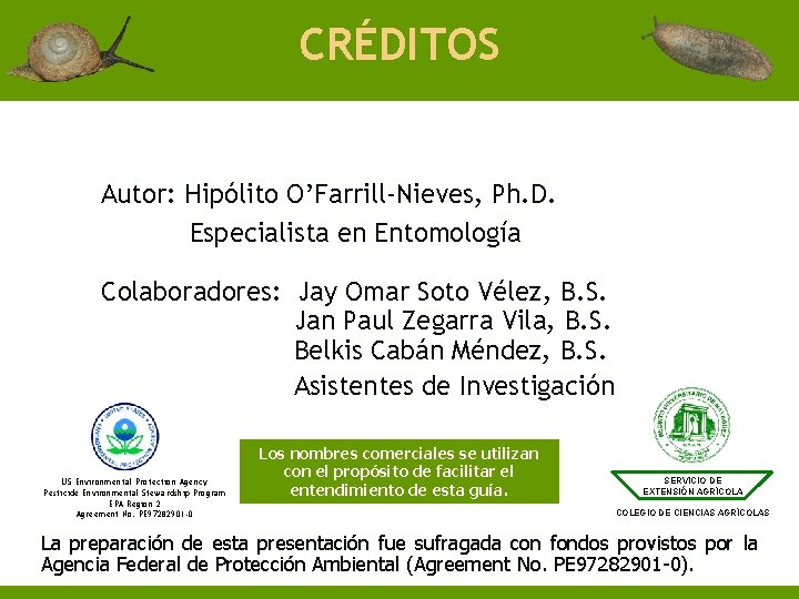 CRÉDITOS Autor: Hipólito O’Farrill-Nieves, Ph. D. Especialista en Entomología Colaboradores: Jay Omar Soto Vélez,