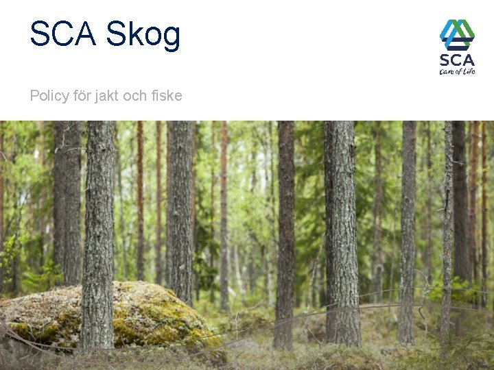 SCA Skog Policy för jakt och fiske 