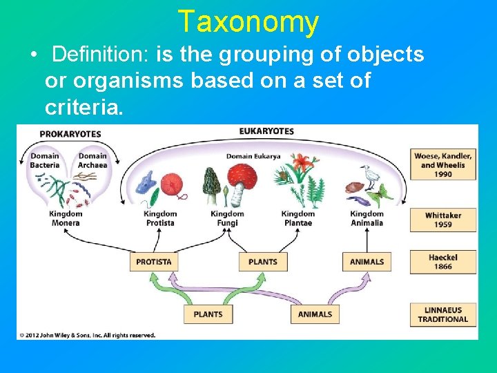 Taxonomy • Definition: is the grouping of objects or organisms based on a set