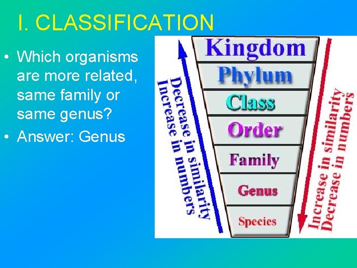 I. CLASSIFICATION • Which organisms are more related, same family or same genus? •