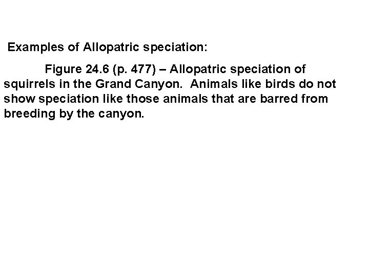 Examples of Allopatric speciation: Figure 24. 6 (p. 477) – Allopatric speciation of squirrels