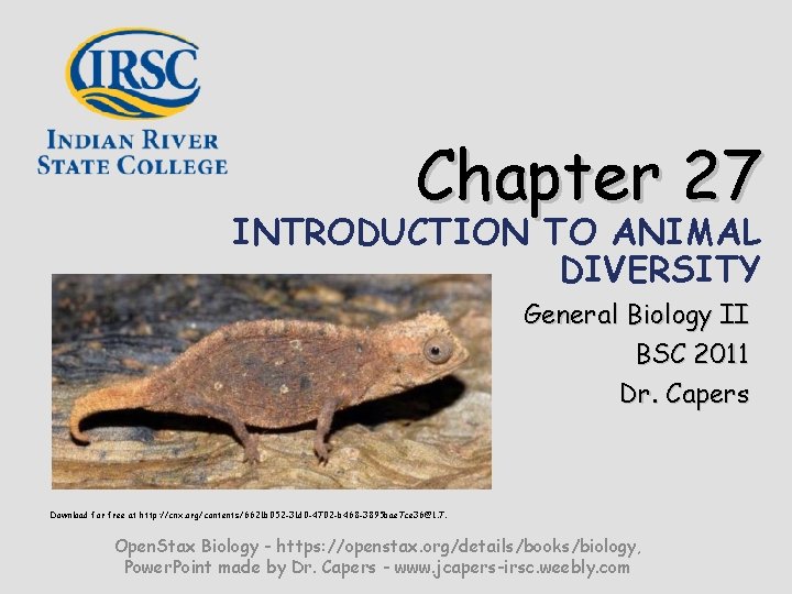 Chapter 27 INTRODUCTION TO ANIMAL DIVERSITY General Biology II BSC 2011 Dr. Capers Download