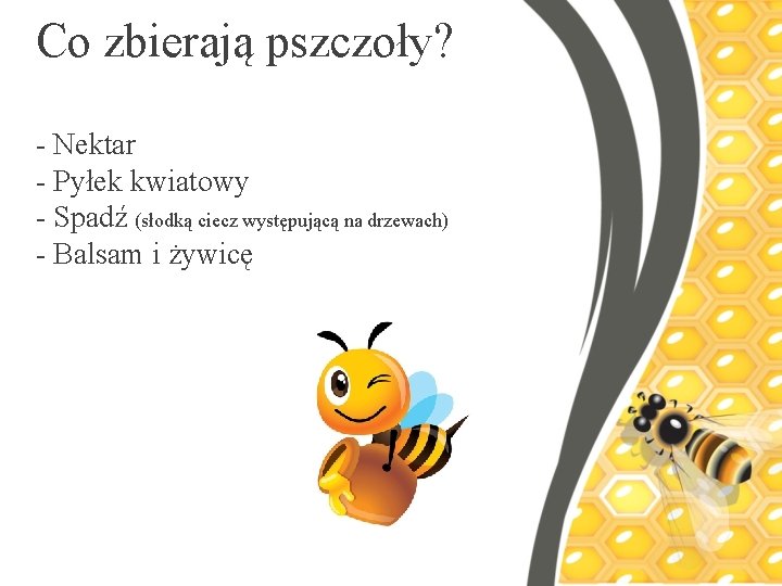 Co zbierają pszczoły? - Nektar - Pyłek kwiatowy - Spadź (słodką ciecz występującą na