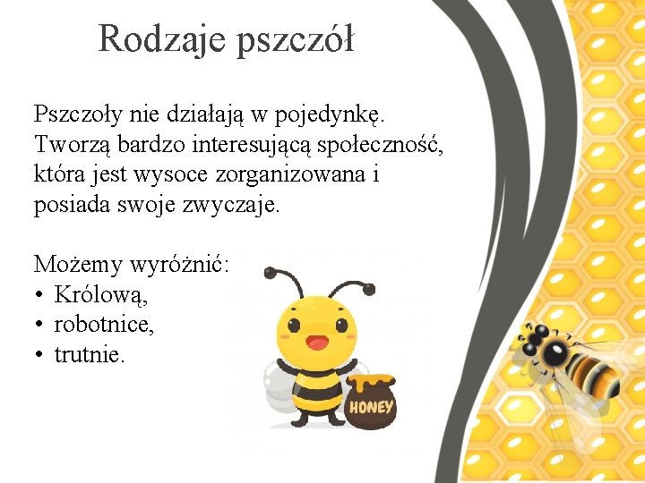 Rodzaje pszczół Pszczoły nie działają w pojedynkę. Tworzą bardzo interesującą społeczność, która jest wysoce