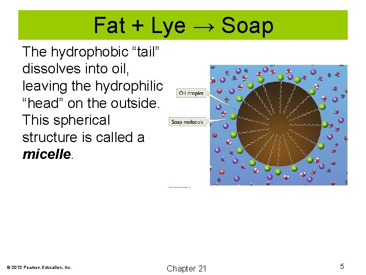 Fat + Lye → Soap The hydrophobic “tail” dissolves into oil, leaving the hydrophilic