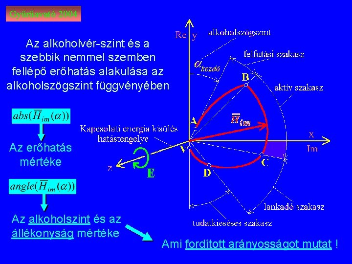 Gyűrűavató 2004 Az alkoholvér-szint és a szebbik nemmel szemben fellépő erőhatás alakulása az alkoholszögszint