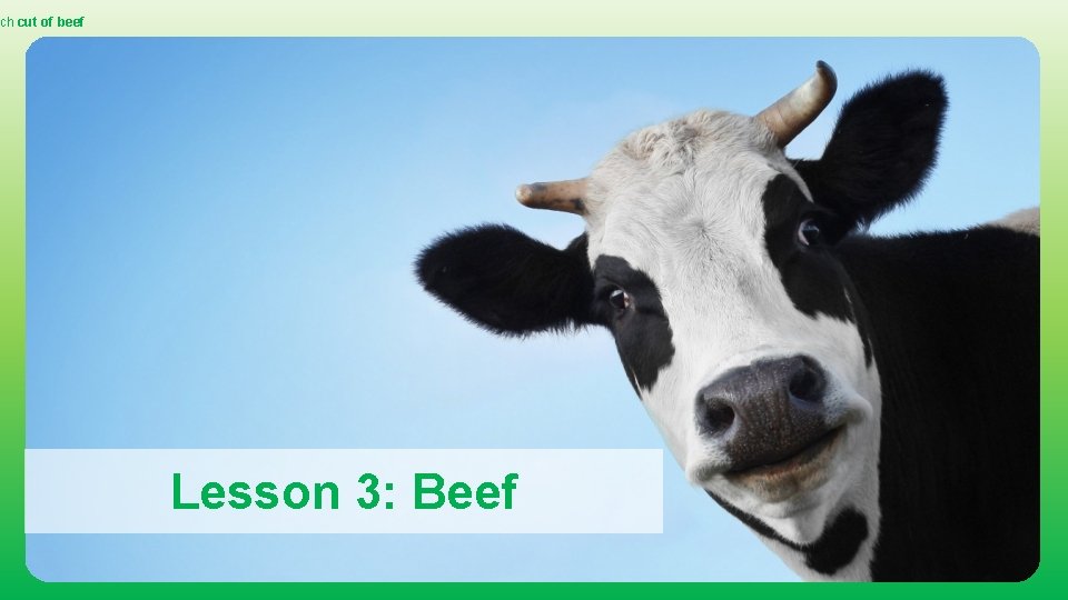 ch cut of beef Lesson 3: Beef 