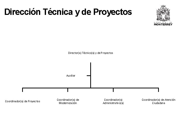 Dirección Técnica y de Proyectos Director(a) Técnico(a) y de Proyectos Auxiliar Coordinador(a) de Proyectos