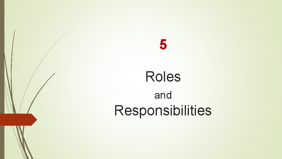 5 Roles and Responsibilities 