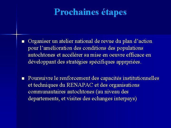 Prochaines étapes n Organiser un atelier national de revue du plan d’action pour l’amélioration