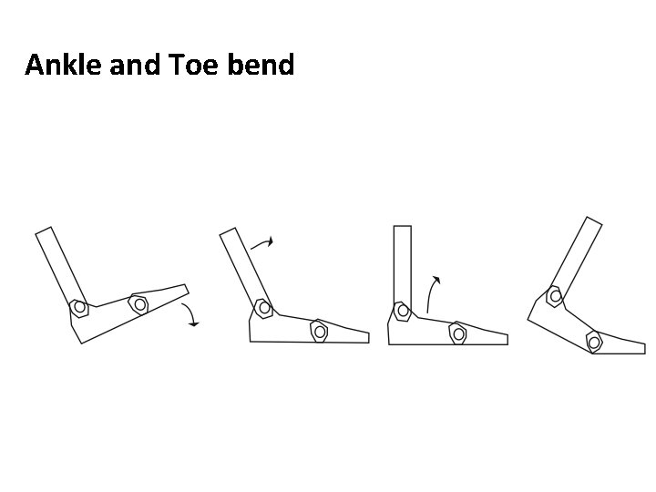 Normal Toe Bend Human Figure Animation CSE 35415541 Matt Boggus Virtual