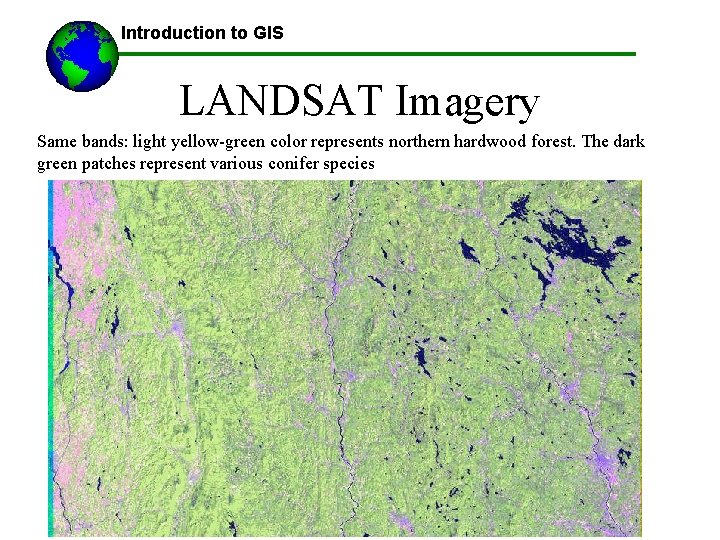Introduction to GIS LANDSAT Imagery Same bands: light yellow-green color represents northern hardwood forest.