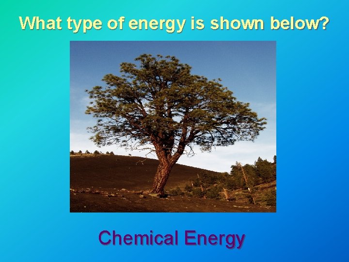 What type of energy is shown below? Chemical Energy What type of energy is shown below? Chemical Energy
