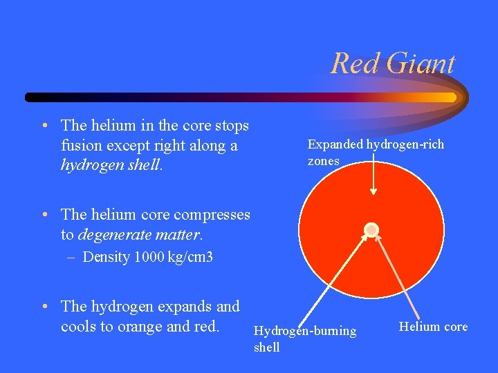 Red Giant • The helium in the core stops fusion except right along a