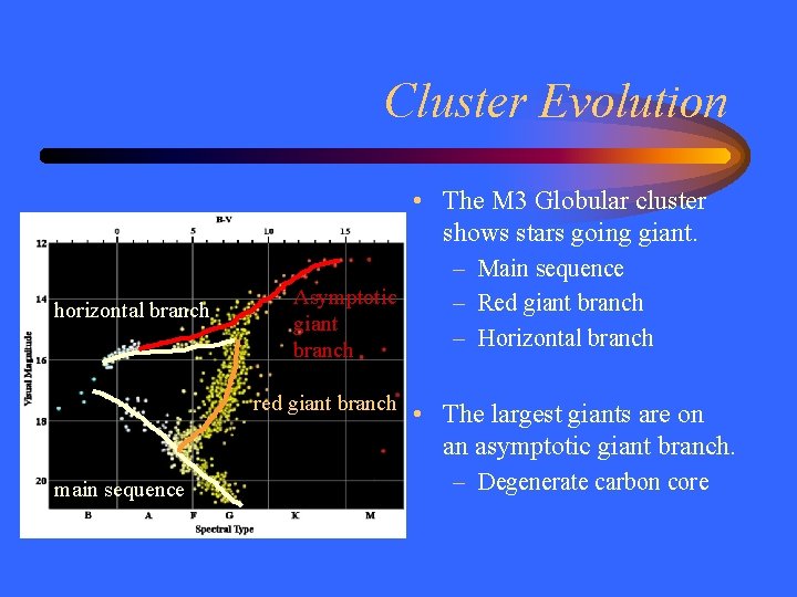 Cluster Evolution • The M 3 Globular cluster shows stars going giant. horizontal branch