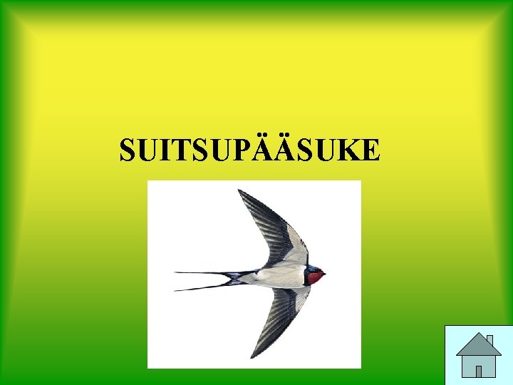 SUITSUPÄÄSUKE 