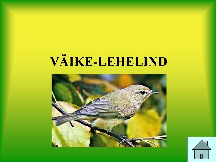 VÄIKE-LEHELIND 