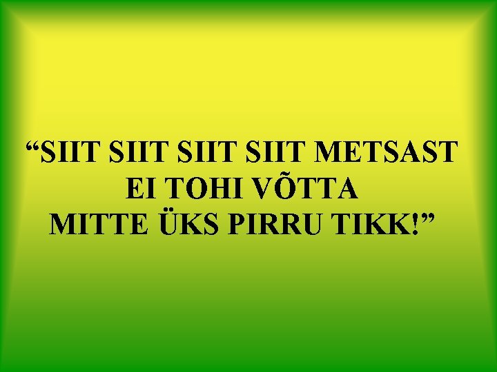 “SIIT METSAST EI TOHI VÕTTA MITTE ÜKS PIRRU TIKK!” 