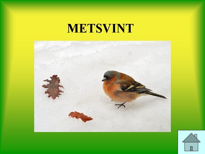 METSVINT 