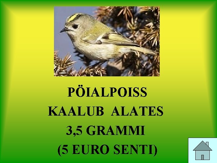 PÖIALPOISS KAALUB ALATES 3, 5 GRAMMI (5 EURO SENTI) 