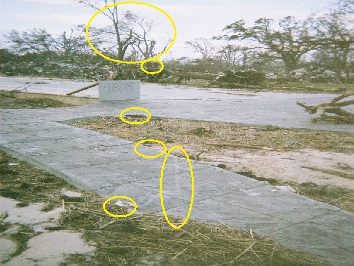 . Picture 1 Description: In the foreground the concrete walkway, part of the parking