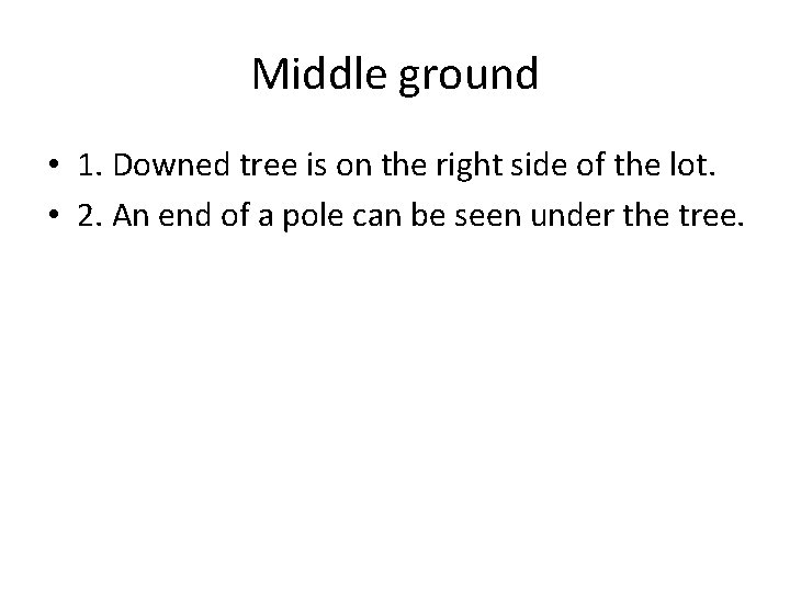 Middle ground • 1. Downed tree is on the right side of the lot.