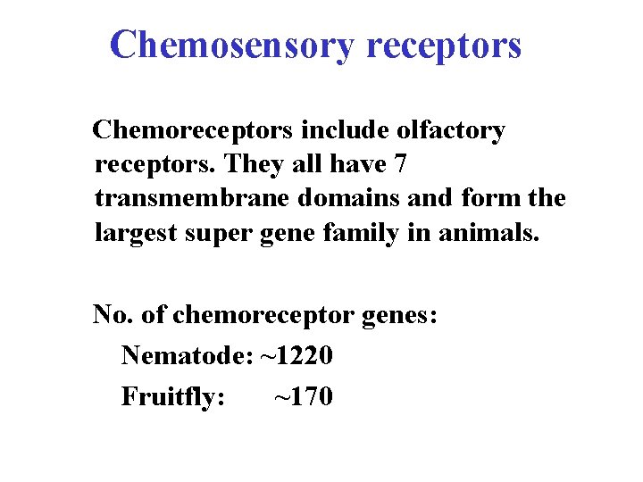 Chemosensory receptors Chemoreceptors include olfactory receptors. They all have 7 transmembrane domains and form