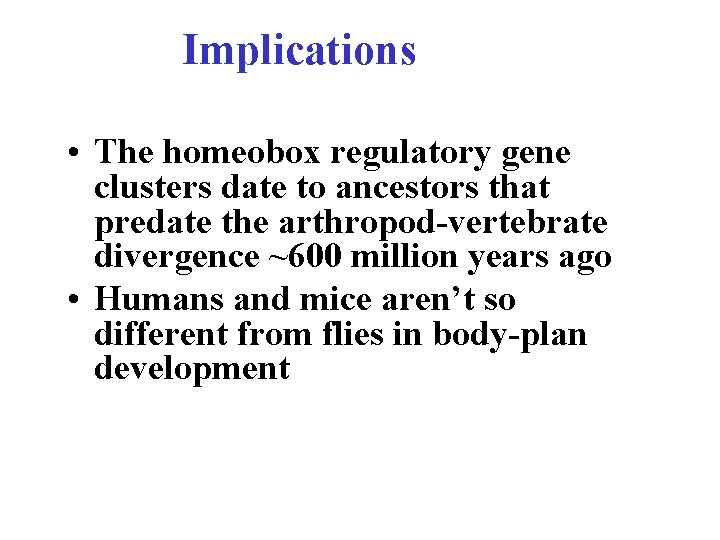 Implications • The homeobox regulatory gene clusters date to ancestors that predate the arthropod-vertebrate