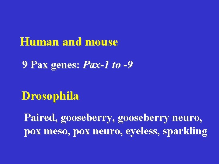 Human and mouse 9 Pax genes: Pax-1 to -9 Drosophila Paired, gooseberry neuro, pox