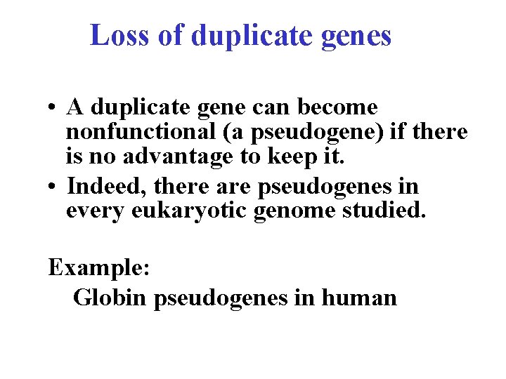 Loss of duplicate genes • A duplicate gene can become nonfunctional (a pseudogene) if