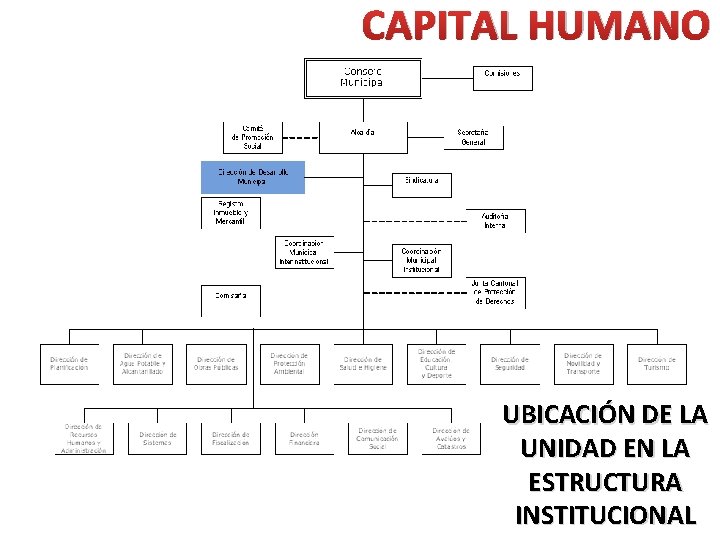 CAPITAL HUMANO UBICACIÓN DE LA UNIDAD EN LA ESTRUCTURA INSTITUCIONAL 