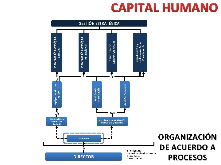 CAPITAL HUMANO Seguimiento y Evaluación de la Planificación E Analistas de Planificación Analista Financiero