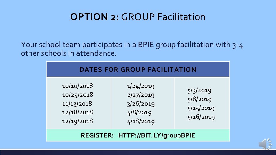 OPTION 2: GROUP Facilitation Your school team participates in a BPIE group facilitation with