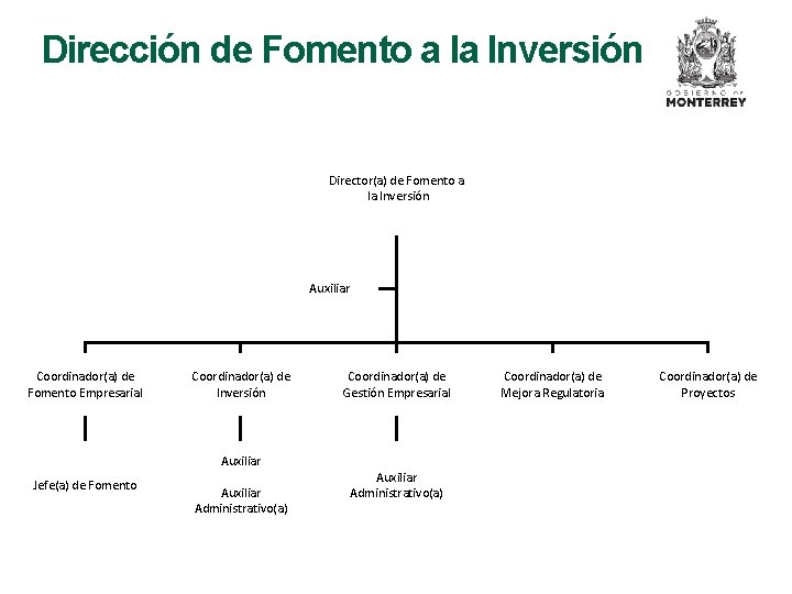 Dirección de Fomento a la Inversión Director(a) de Fomento a la Inversión Auxiliar Coordinador(a)